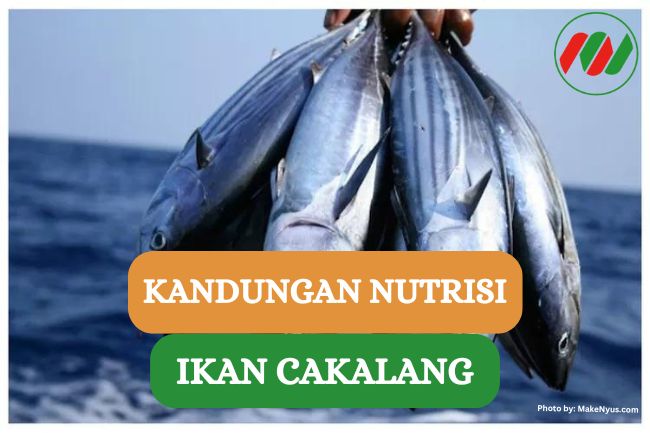 Ini Dia Kandungan Nutrisi dalam Ikan Cakalang